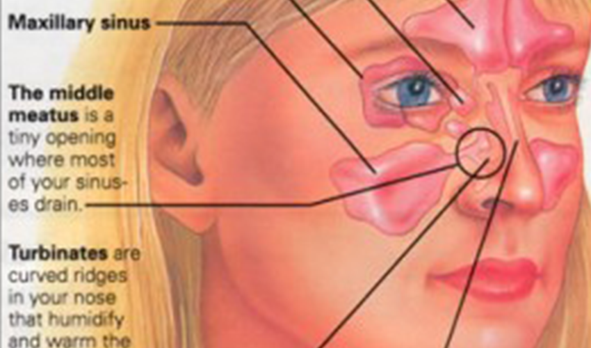 pijat-refleksi-untuk-sinusitis